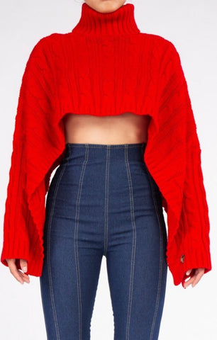 Hot Girl Winter Cropped Knit Sweater